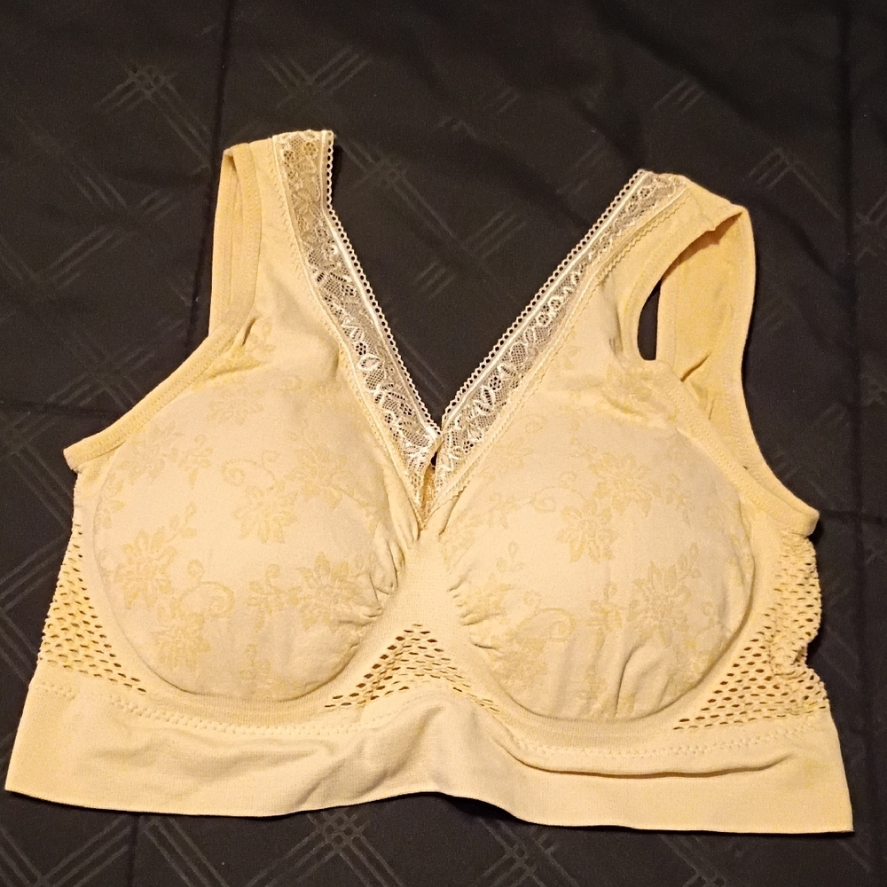Elegant Cream Lace Bra - 2XL